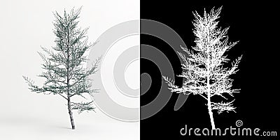 3d illustration of Cedrus atlantica glauca fastigiata tree isolated on white and its mask Cartoon Illustration