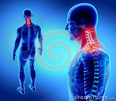 3D illustration of Cervical Spine, medical concept. Cartoon Illustration