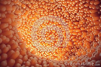 3D illustration close-up Intestinal villi. Intestine lining. Microscopic villi and capillary. Human intestine. Concept Cartoon Illustration