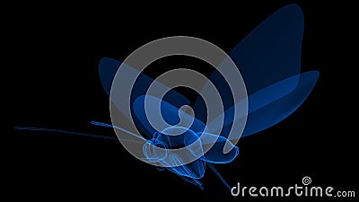 Blue coloured Butterfly in Black background 3D rendering Cartoon Illustration