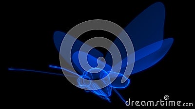 Blue coloured Butterfly in Black background 3D rendering Cartoon Illustration