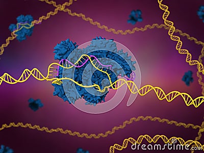 CRISPR-Cas9 Cartoon Illustration