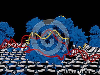 A CRISPR-graphene chip Cartoon Illustration