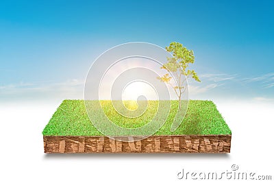 3d illustration of cubical soil slice, green grass Cartoon Illustration
