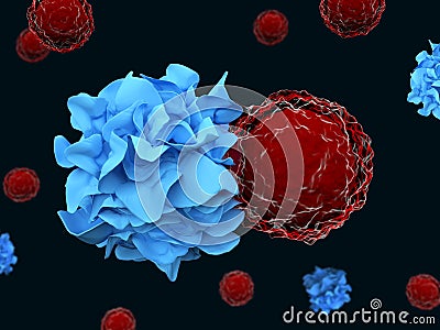 A dendritic cell interacting with a T cell Cartoon Illustration