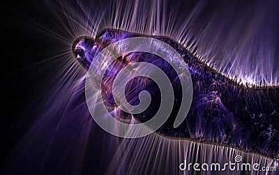 3D-Illustration of a glowing human male hand with a kirlian aura showing symbols Stock Photo