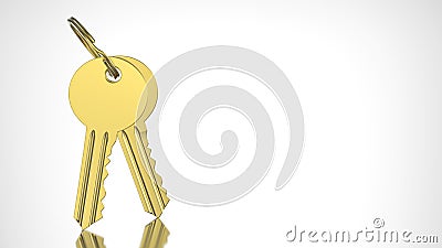 3D illustration gold and key with keychain Cartoon Illustration