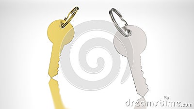 3D illustration gold and silver key with keychain Cartoon Illustration