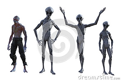 Illustration of a group of three gray aliens and another extraterrestrial specie standing in various poses isolated on a white Cartoon Illustration