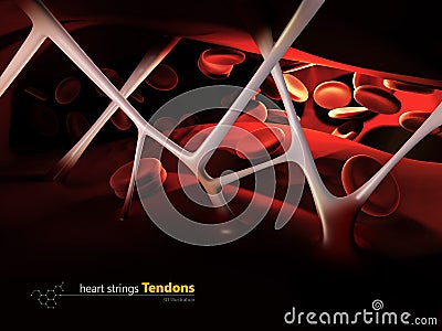 3d Illustration of heart strings Tendons, inside the human heart Stock Photo