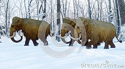 A 3D illustration of a herd of Woolly Mammoths walking through a snowy forest Cartoon Illustration