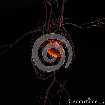 3d illustration of human body heart Cartoon Illustration