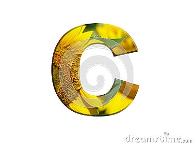 3D illustration LETTER C yellow sunflower alphabet font isolated on white design element Cartoon Illustration
