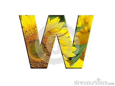3D illustration LETTER W yellow sunflower alphabet font isolated on white design element Cartoon Illustration