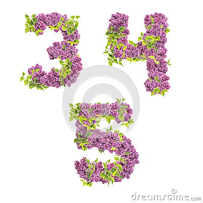 3D illustration of Lilac flowers alphabet - digits 6-9 Stock Photo