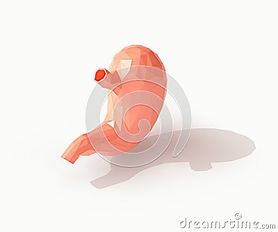 3d illustration of low-poly human organ stomach isolated on white Cartoon Illustration
