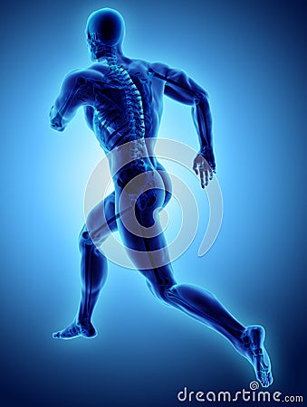 3d illustration male running pose with x-ray skeleton joint, med Cartoon Illustration