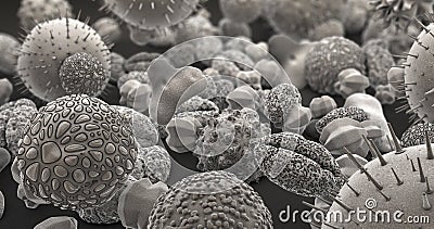 Many different pollen bodies in black and white Cartoon Illustration