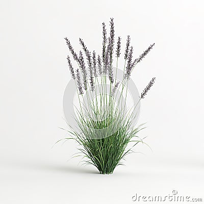 3d illustration of molinia caerulea grass isolated on white background Cartoon Illustration