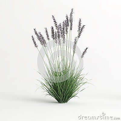 3d illustration of molinia caerulea grass isolated on white background Cartoon Illustration