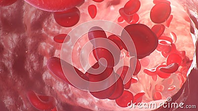 3d illustration of red blood cells inside an artery, vein. The flow of blood inside a living organism. Scientific and Cartoon Illustration