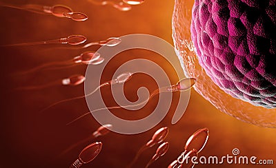 Transparent sperm cells swimming towards egg cell Cartoon Illustration