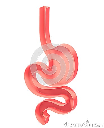 3D illustration of the schematic interior of the stomach. Cartoon Illustration