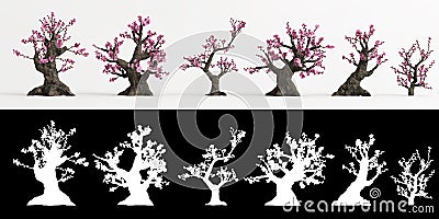 3d illustration of set Armeniaca mume bonsai isolated on white and its mask Cartoon Illustration