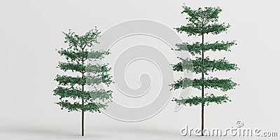 3d illustration of set terminalia mantaly tree isolated on white background Cartoon Illustration