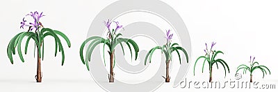 3d illustration of set worsleya procera plant isolated on white background Cartoon Illustration