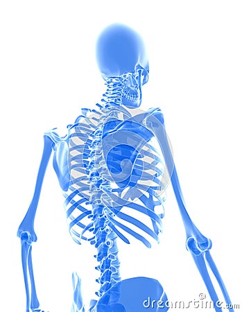 3D illustration of shiny blue skeleton system. Cartoon Illustration