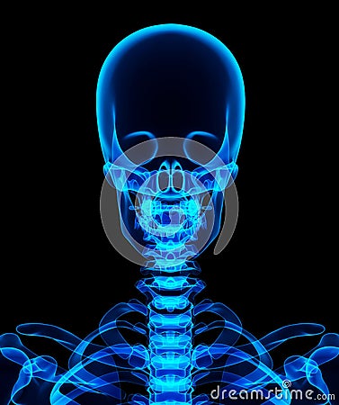 3D illustration of shiny blue skeleton system. Cartoon Illustration