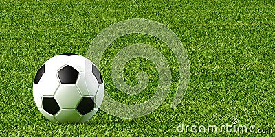 Soccer ball and lawn Cartoon Illustration