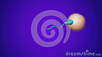 sperm and fertile human egg. Insemination concept Cartoon Illustration