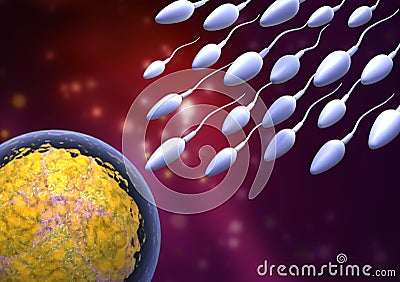 Sperm and egg Cartoon Illustration