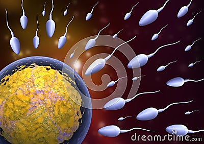 Sperm and egg. Cartoon Illustration