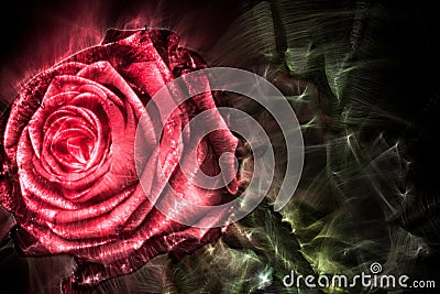 3D-Illustration of spring flowers with a high energy kirlian field glowing in different colors Stock Photo