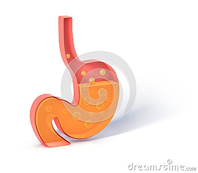3D illustration of the stomach showing the interior doing the digestion with gases. Cartoon Illustration