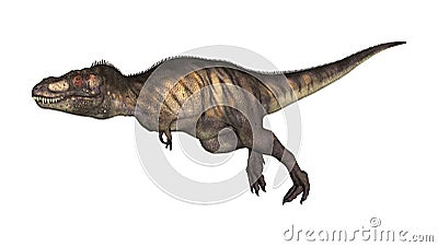 3D Illustration Tyrannosaurus on White Stock Photo