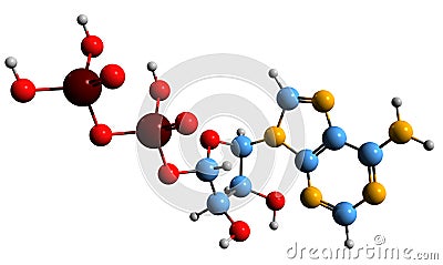 3D image of Adenosine diphosphate skeletal formula Stock Photo