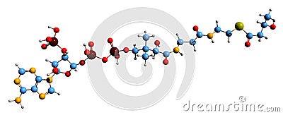 3D image of beta-Hydroxybutyryl-CoA skeletal formula Stock Photo
