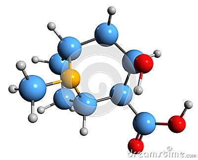 3D image of Ecgonine skeletal formula Stock Photo