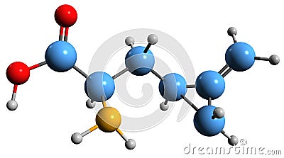 3D image of Hypoglycin A skeletal formula Stock Photo