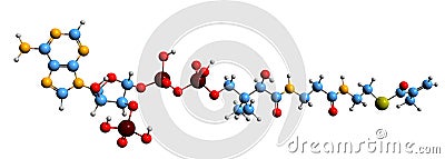 3D image of Methacrylyl-CoA skeletal formula Stock Photo