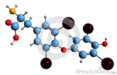 3D image of thyroxine skeletal formula Stock Photo