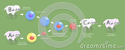 3D Isometric Flat Vector Conceptual Illustration of Animal Cloning Vector Illustration