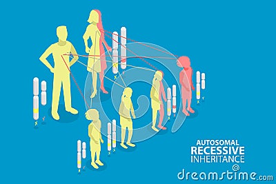3D Isometric Flat Vector Conceptual Illustration of Autosomal Recessive Inheritance Vector Illustration