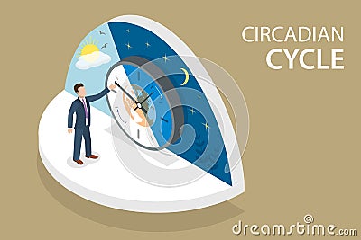 3D Isometric Flat Vector Conceptual Illustration of Circadian Cycle Vector Illustration