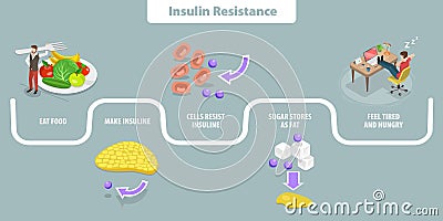 3D Isometric Flat Vector Conceptual Illustration of Insulin resistance Vector Illustration