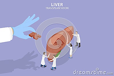 3D Isometric Flat Vector Conceptual Illustration of Liver Transplantation Vector Illustration